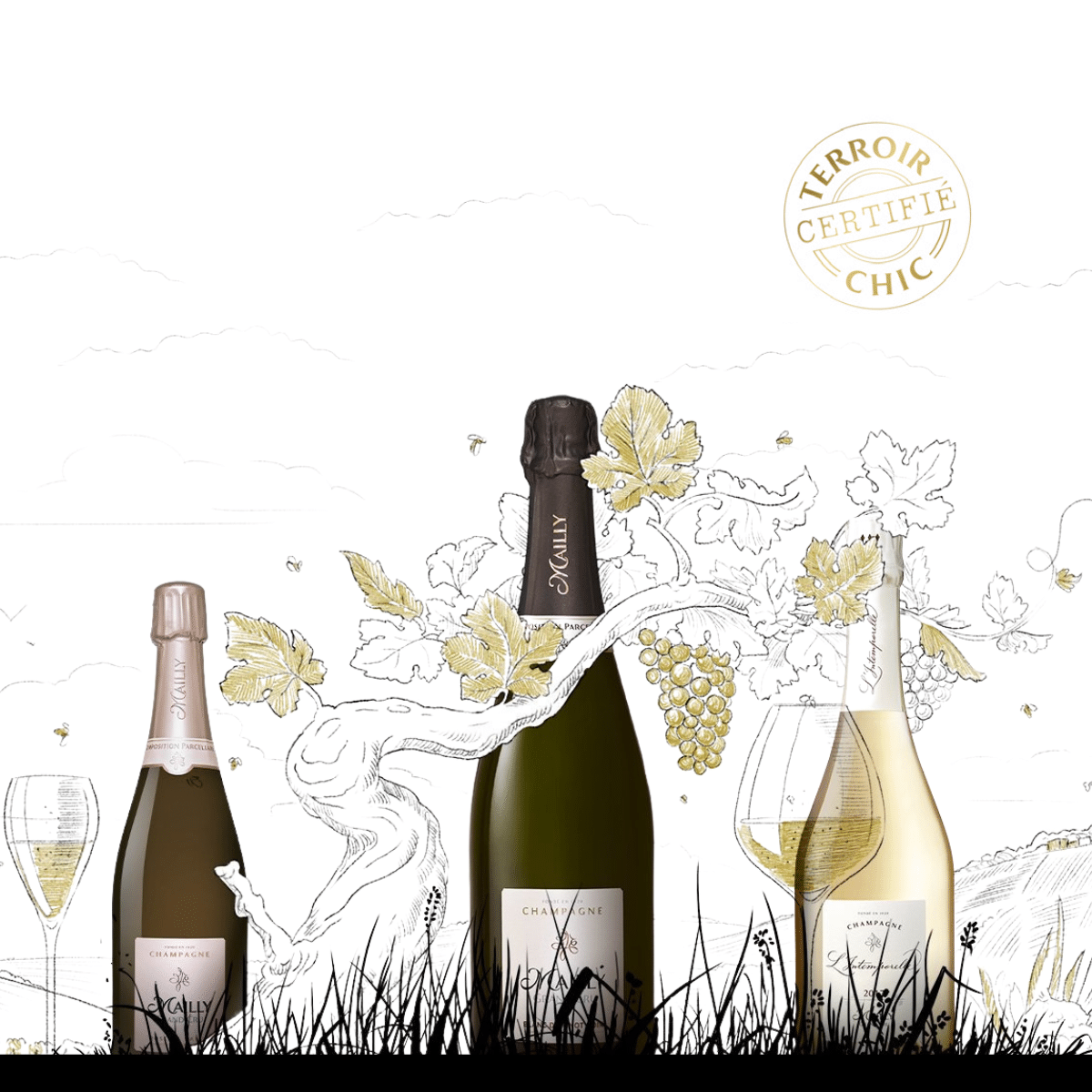 MAILLYbanner 200x200 1 1